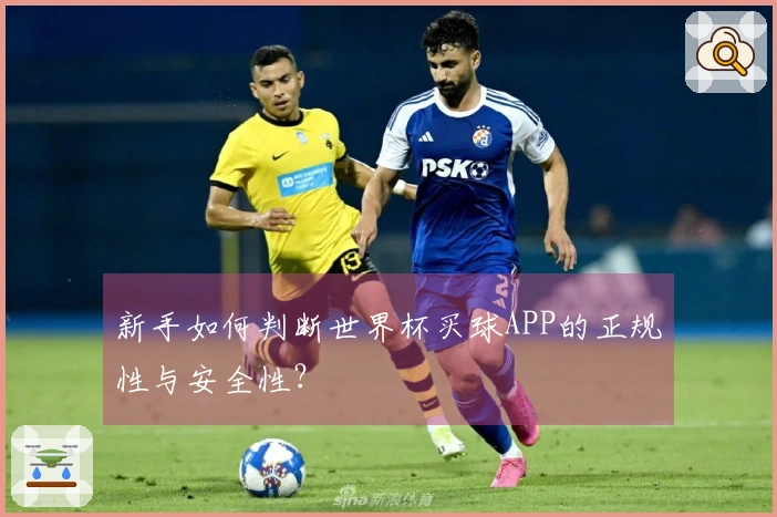 新手如何判断世界杯买球APP的正规性与安全性？