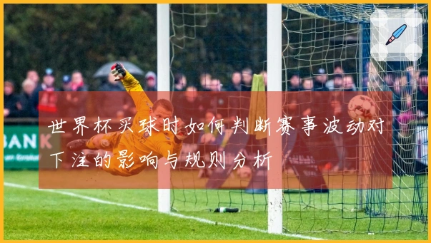 世界杯买球时如何判断赛事波动对下注的影响与规则分析