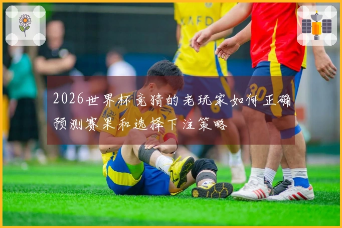 2026世界杯竞猜的老玩家如何正确预测赛果和选择下注策略