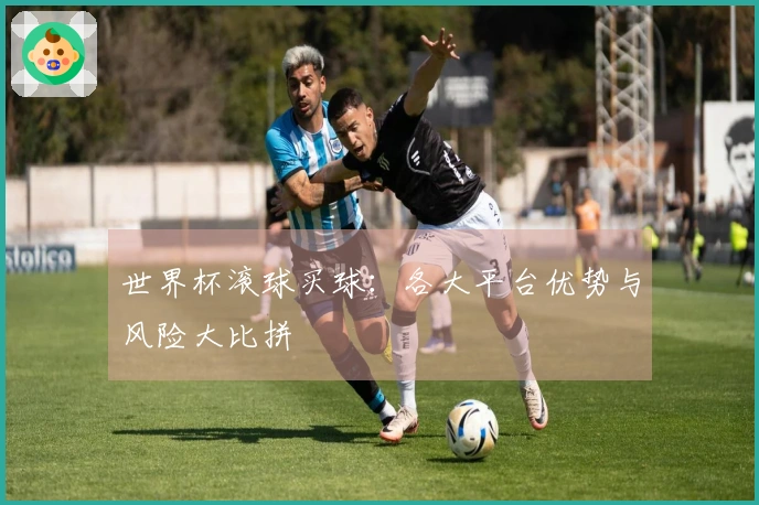 世界杯滚球买球：各大平台优势与风险大比拼