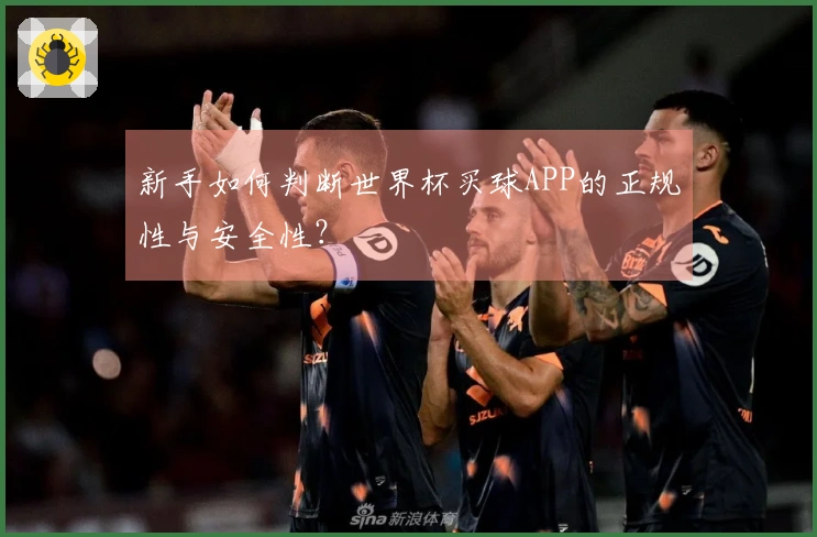 新手如何判断世界杯买球APP的正规性与安全性？