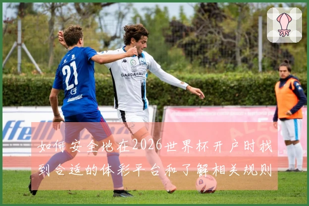 如何安全地在2026世界杯开户时找到合适的体彩平台和了解相关规则
